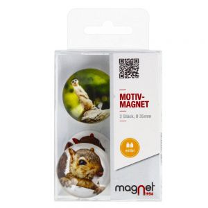Magnesy Magnet Wiewiórka/Surykatka, 2szt 3.5cm